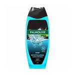 Palmolive Men Sh/gel Sport 500ml